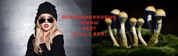ешки Елизово