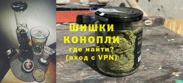 ПСИЛОЦИБИНОВЫЕ ГРИБЫ Гусев