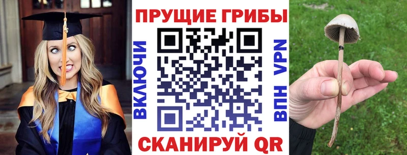 Галлюциногенные грибы мицелий  Белинский 